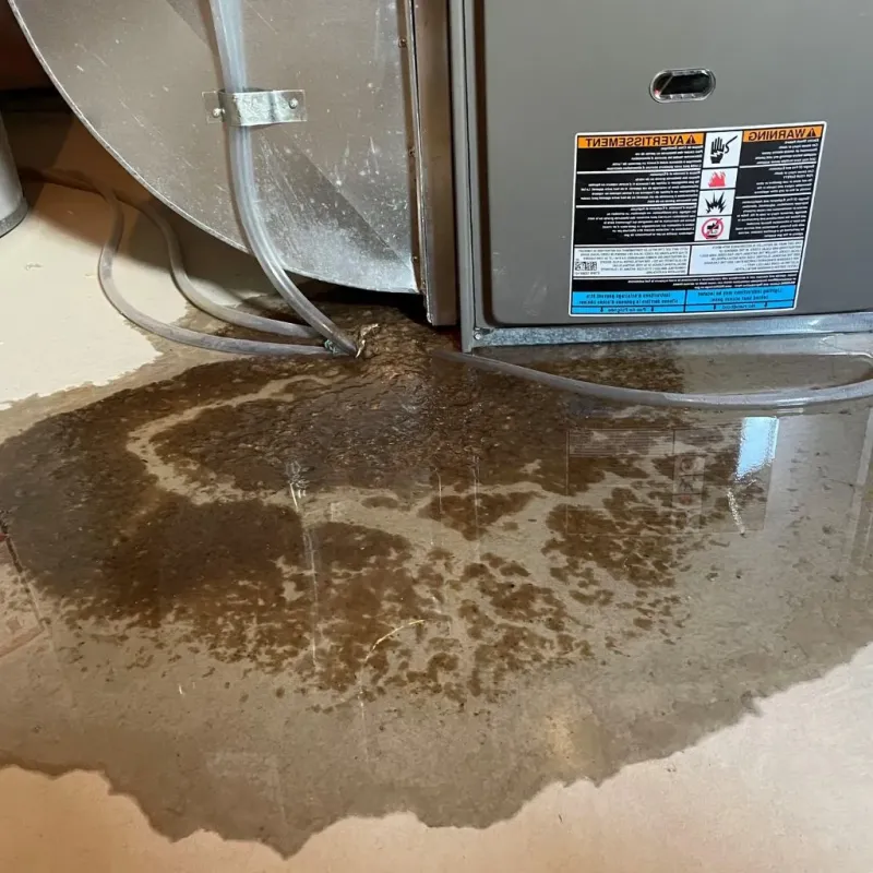 Pipe Burst and Leak Restoration in Cumberland, RI