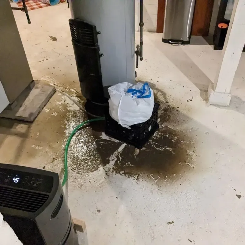 Sewage Backup Cleanup Service in Cumberland, RI